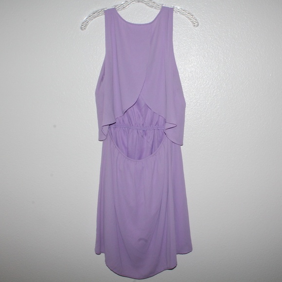 Francesca's Purple Dress - Picture 6 of 8